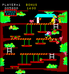Kangaroo Video Game II