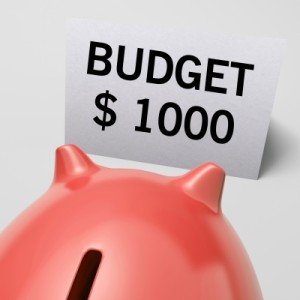 $1000 Budget Pig