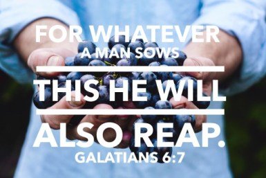 reap what you sow