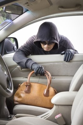 thief stealing purse