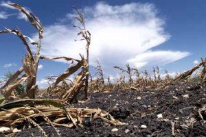Drought I