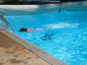 IMG_1322